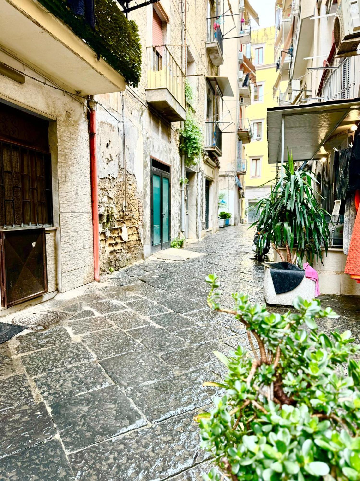 Vesuvius House Apartment เนเปิลส์ ภายนอก รูปภาพ